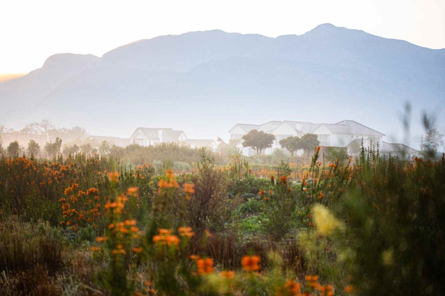 0 Bedroom Property for Sale in Val De Vie Estate Western Cape